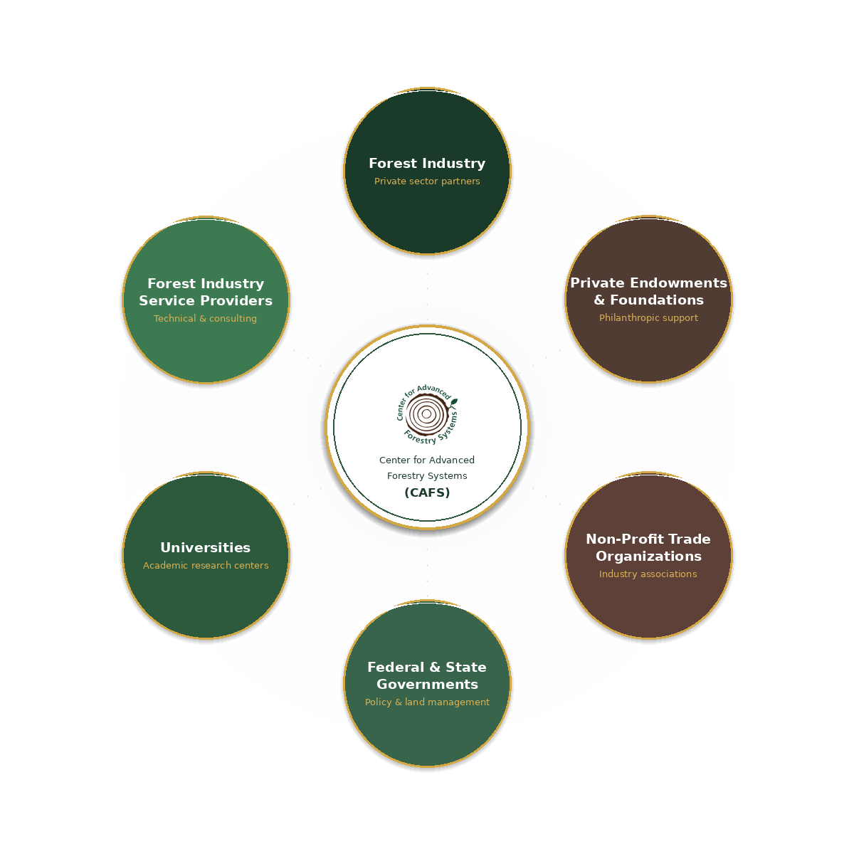 CAFS collaborative partnership model showing Forest Industry, Universities, Government, Endowments, Trade Organizations, and Service Providers