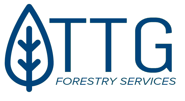 TTG Forestry