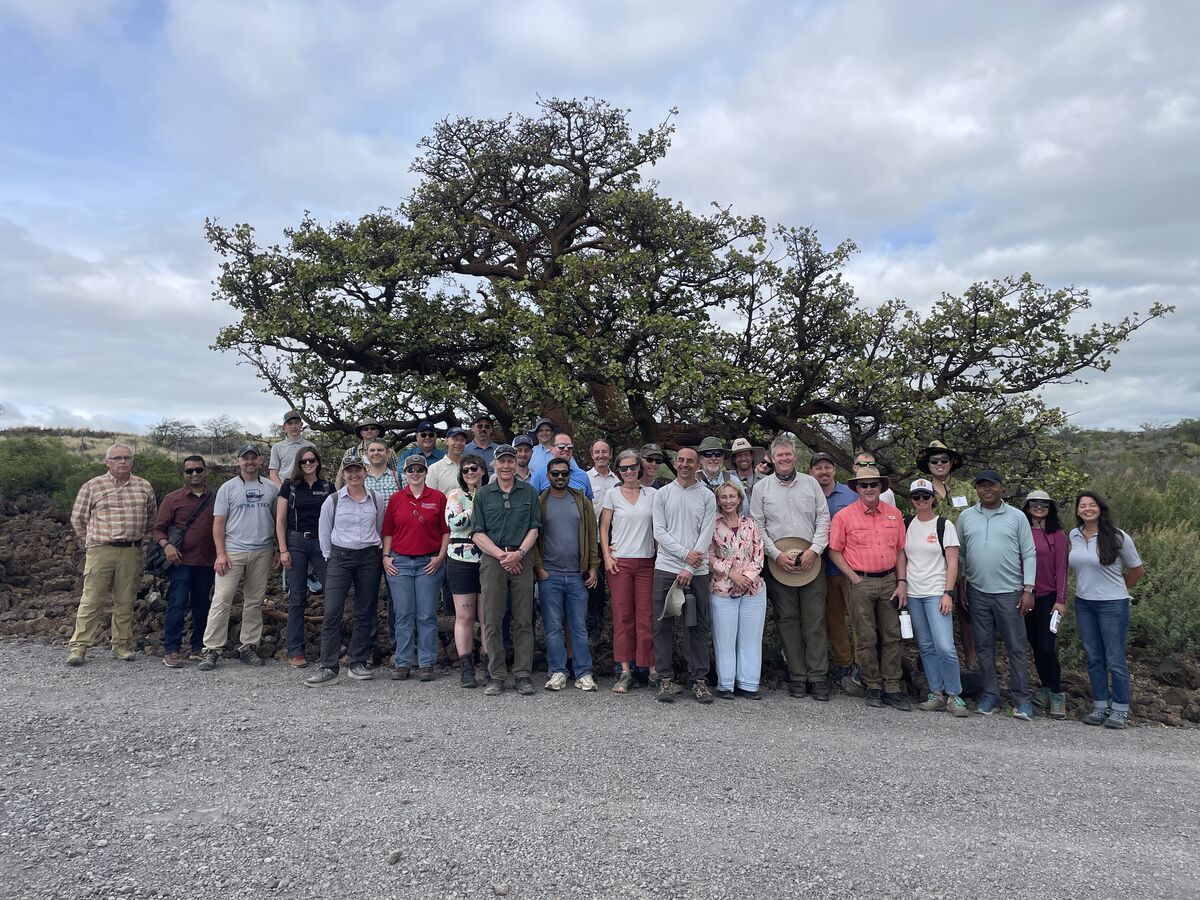Researchers in the field